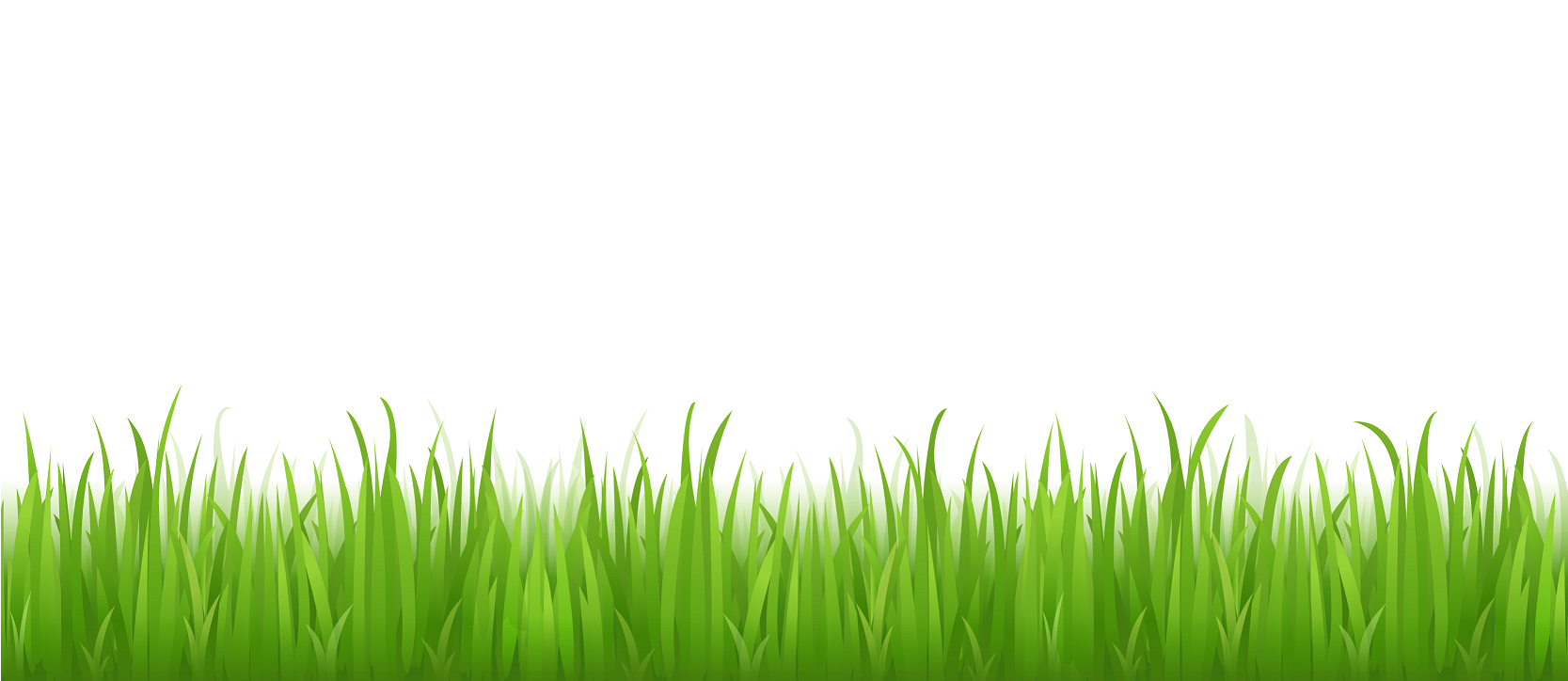 grass transparent png