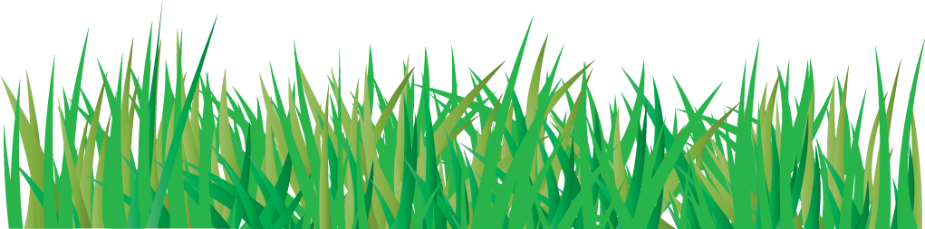 Grass PNG transparent image download, size: 7327x3295px