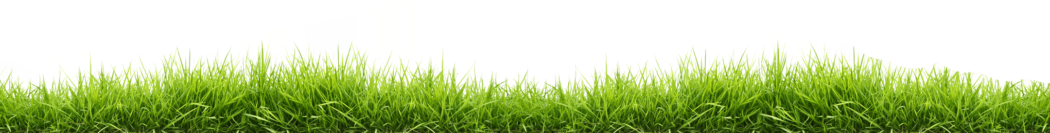 Green Grass Background png download - 829*1280 - Free Transparent