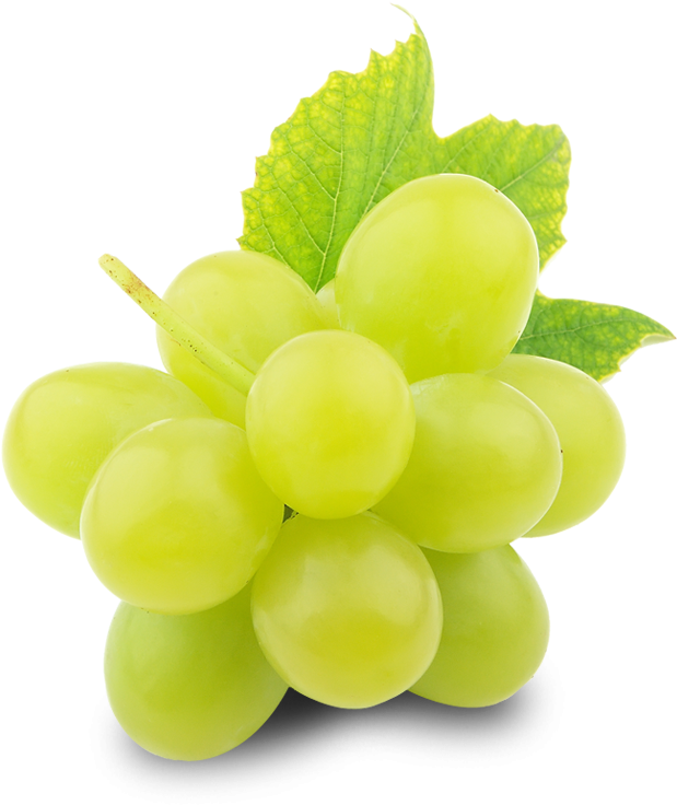 fresh grapes png