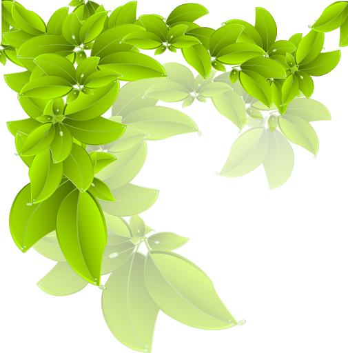 Green Leaf Background png download - 556*450 - Free Transparent