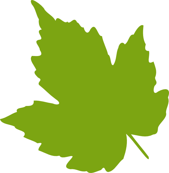 green leaf outline png