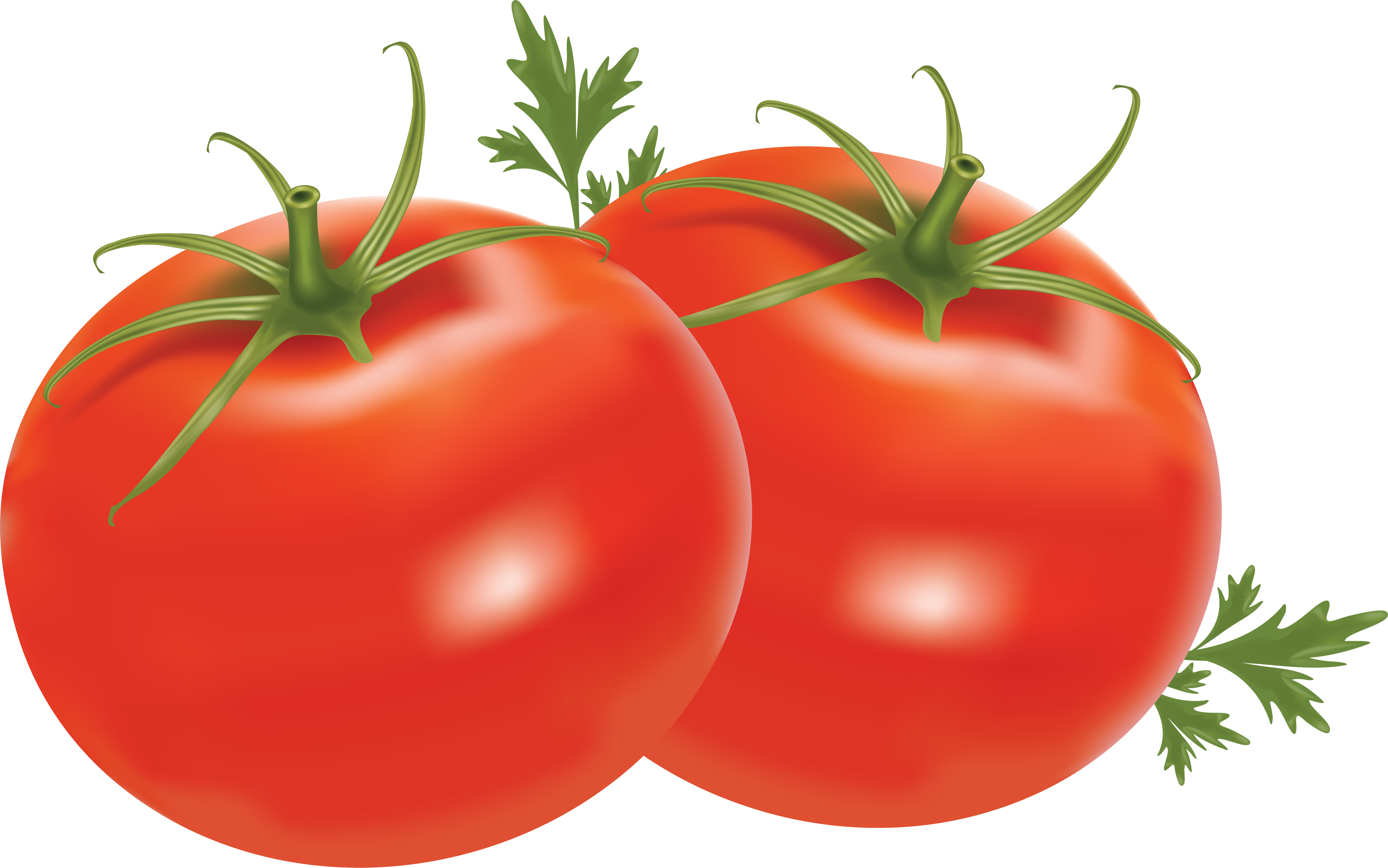 tomato png