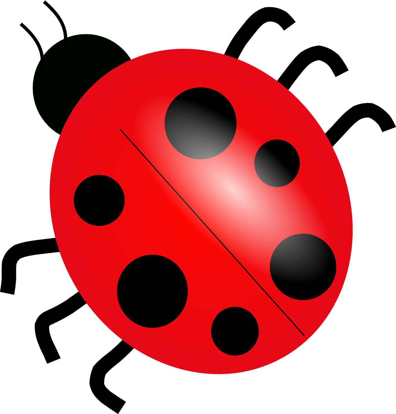 Free Ladybug PNG Images & PSDs for Downloads