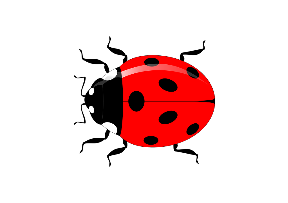 LADYBUG Logo PNG Vector (SVG) Free Download