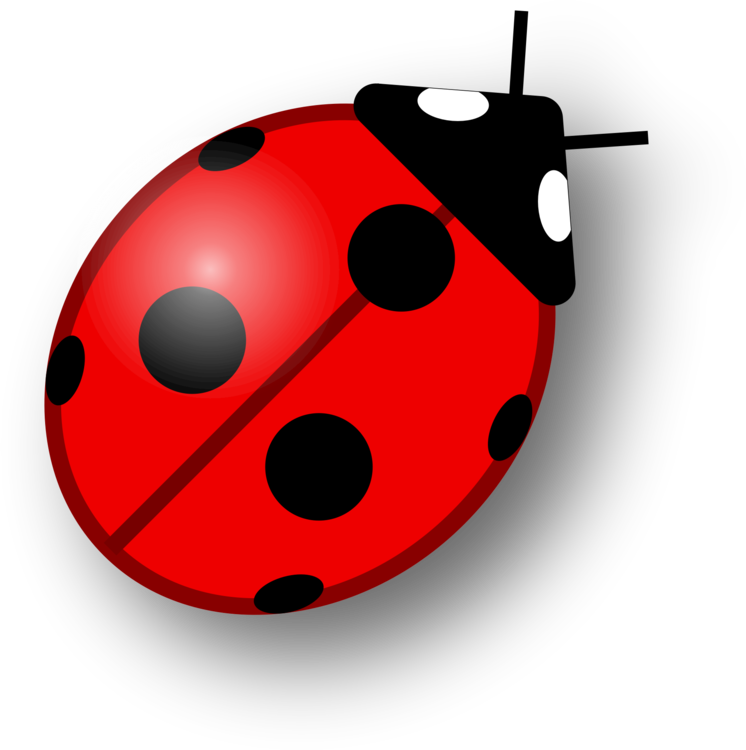 Download Ladybug Png Image HQ PNG Image