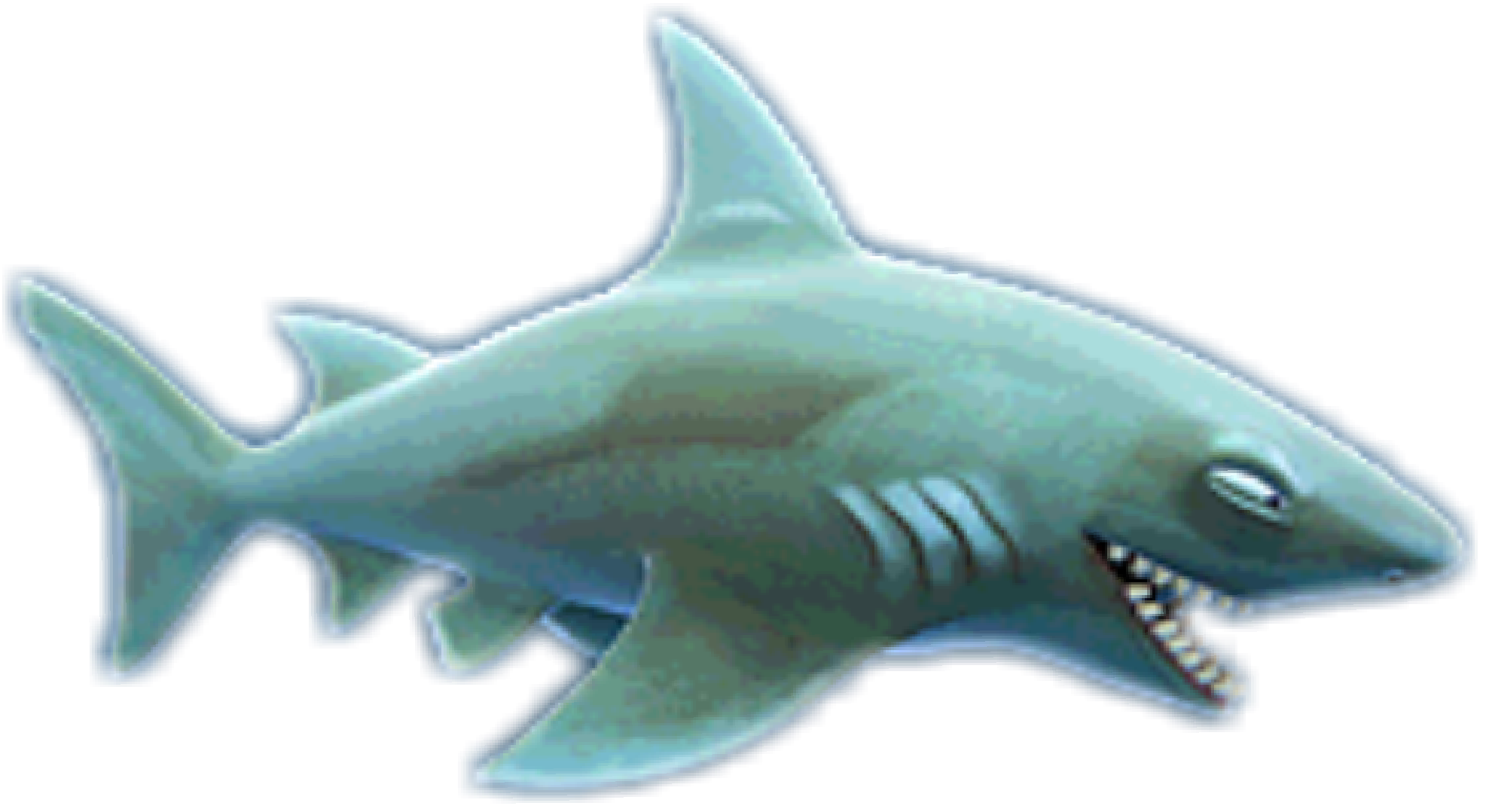 shark evolution megalodon