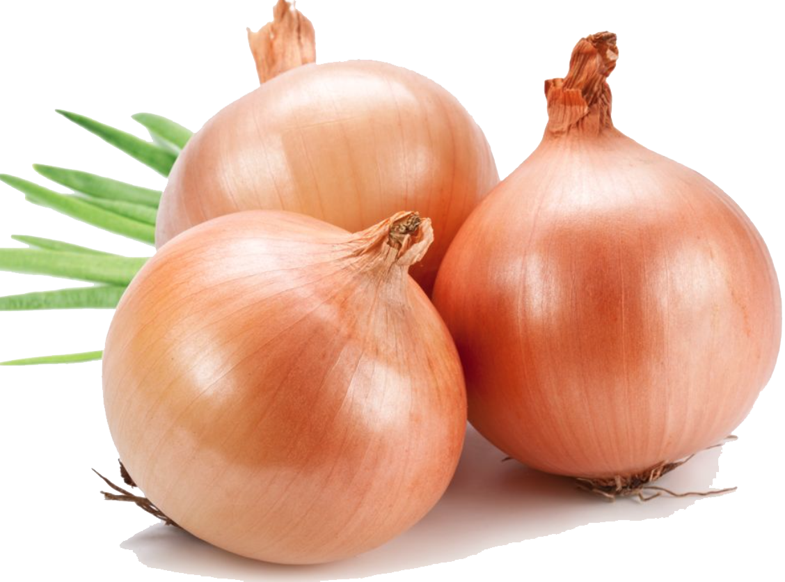 onion png