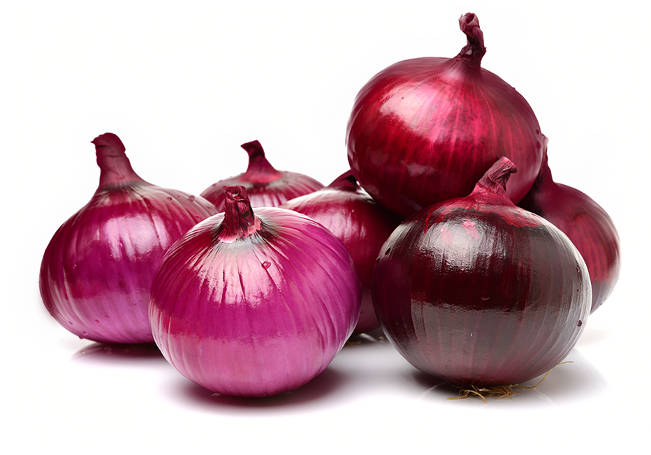 onion png