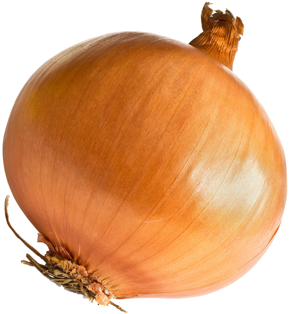 onion png