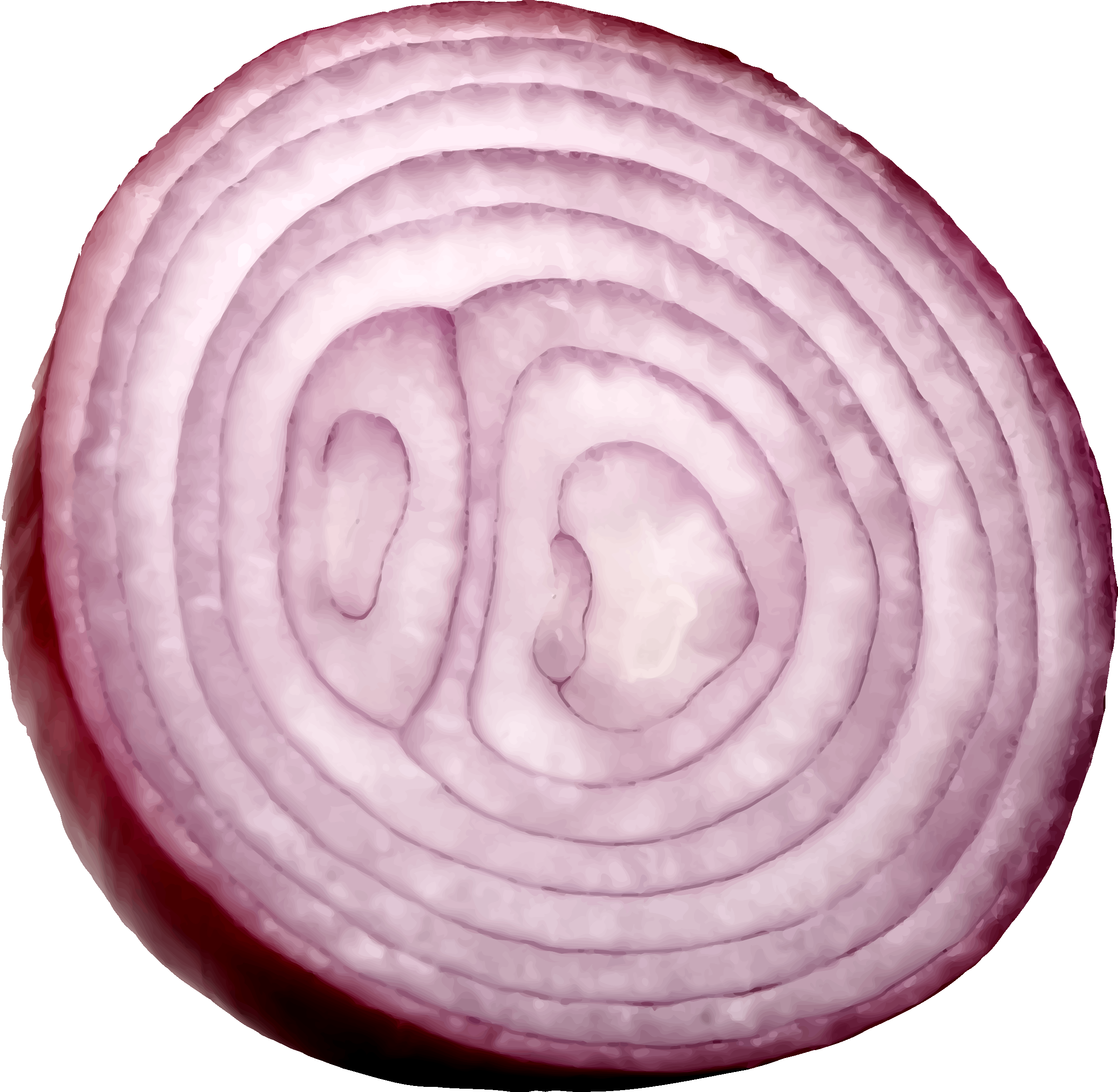 sliced onion png