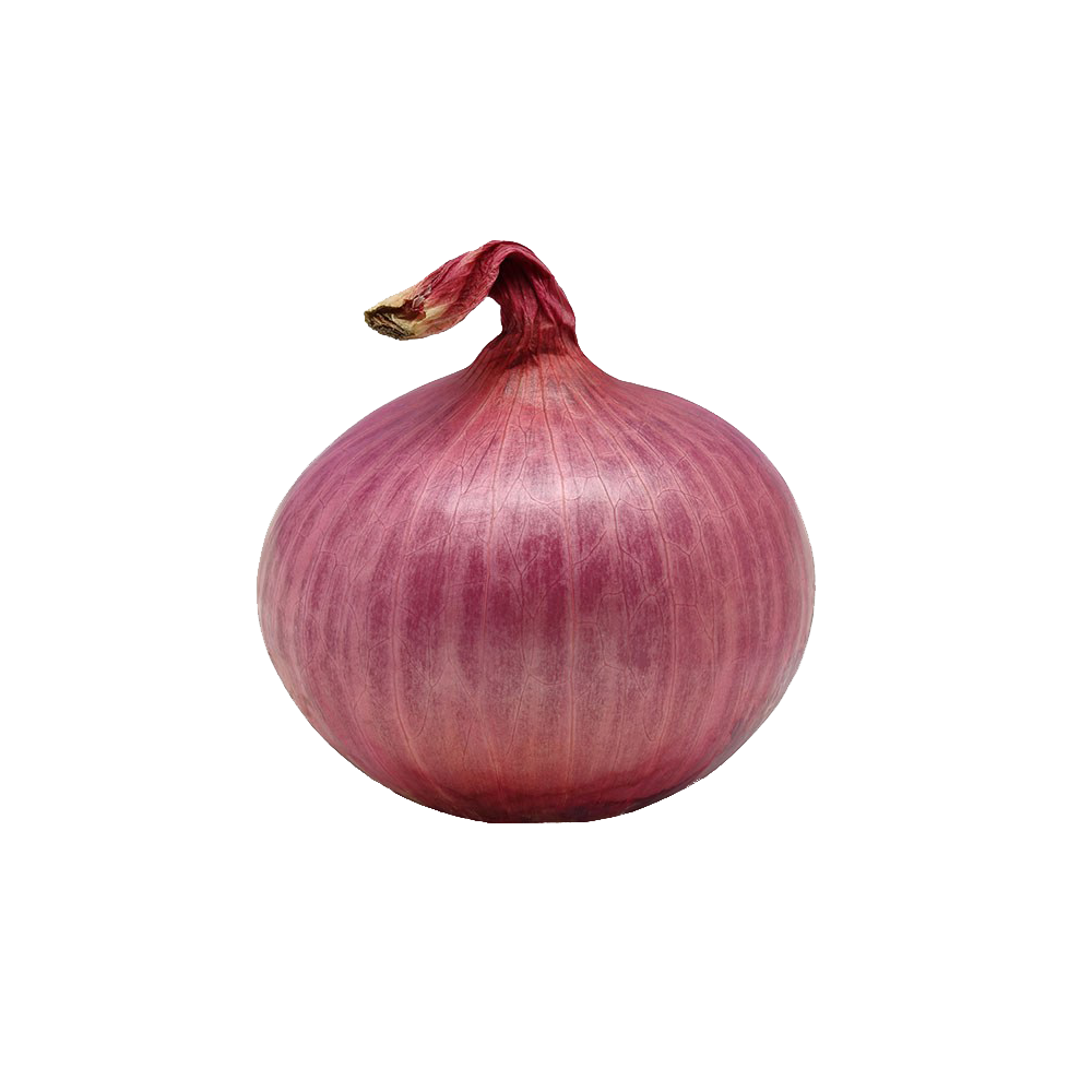 onion png