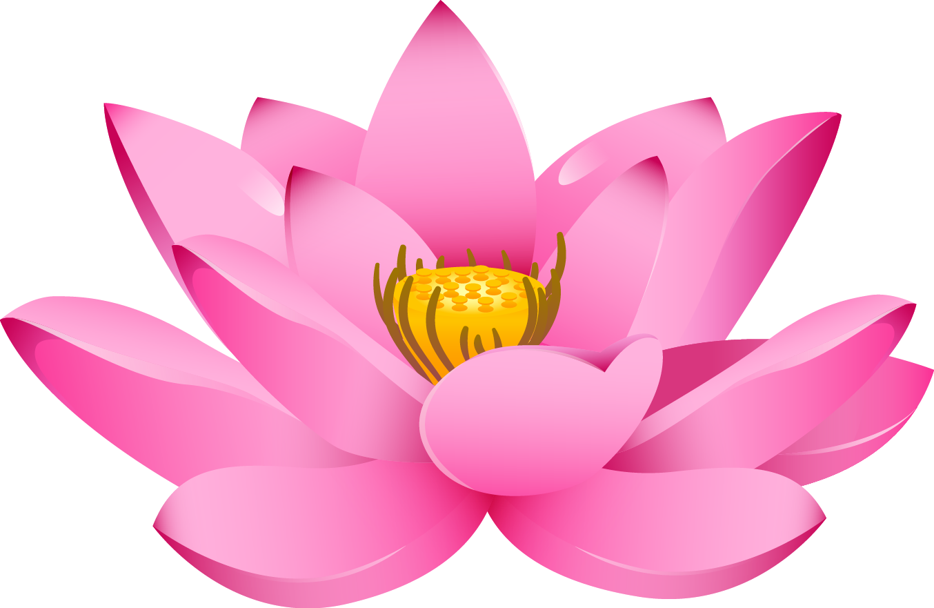 lotus flower png