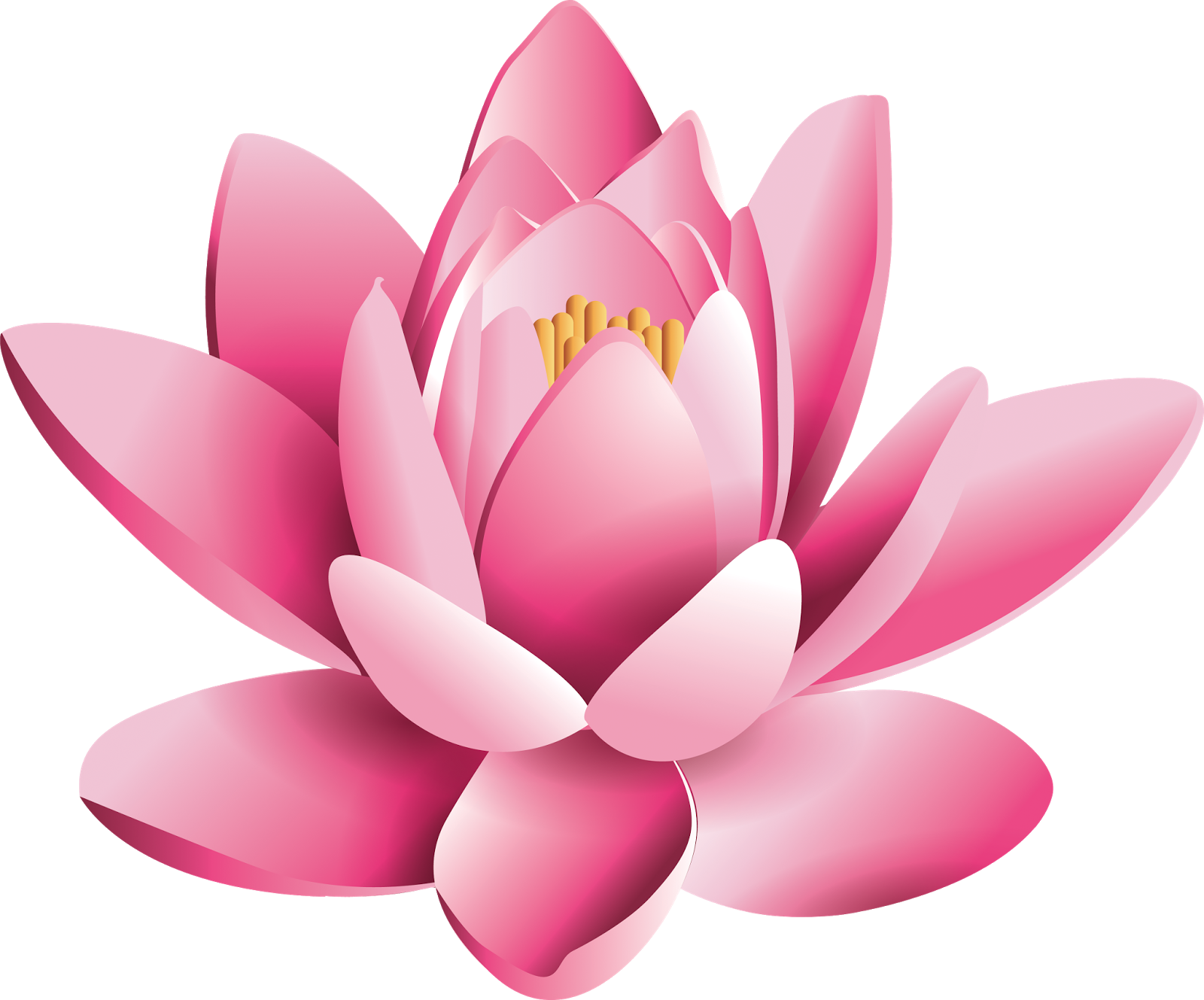 lotus flower png