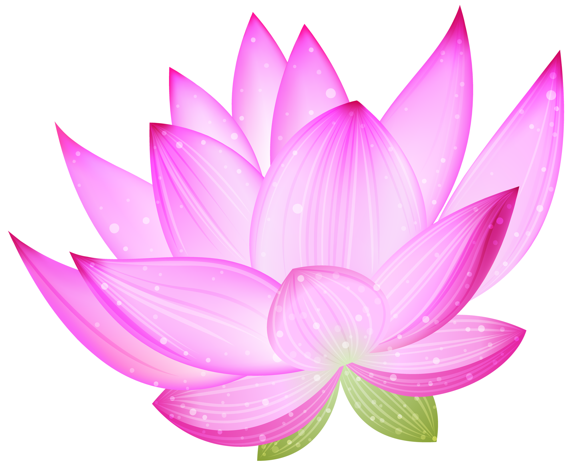 purple lotus flower clip art