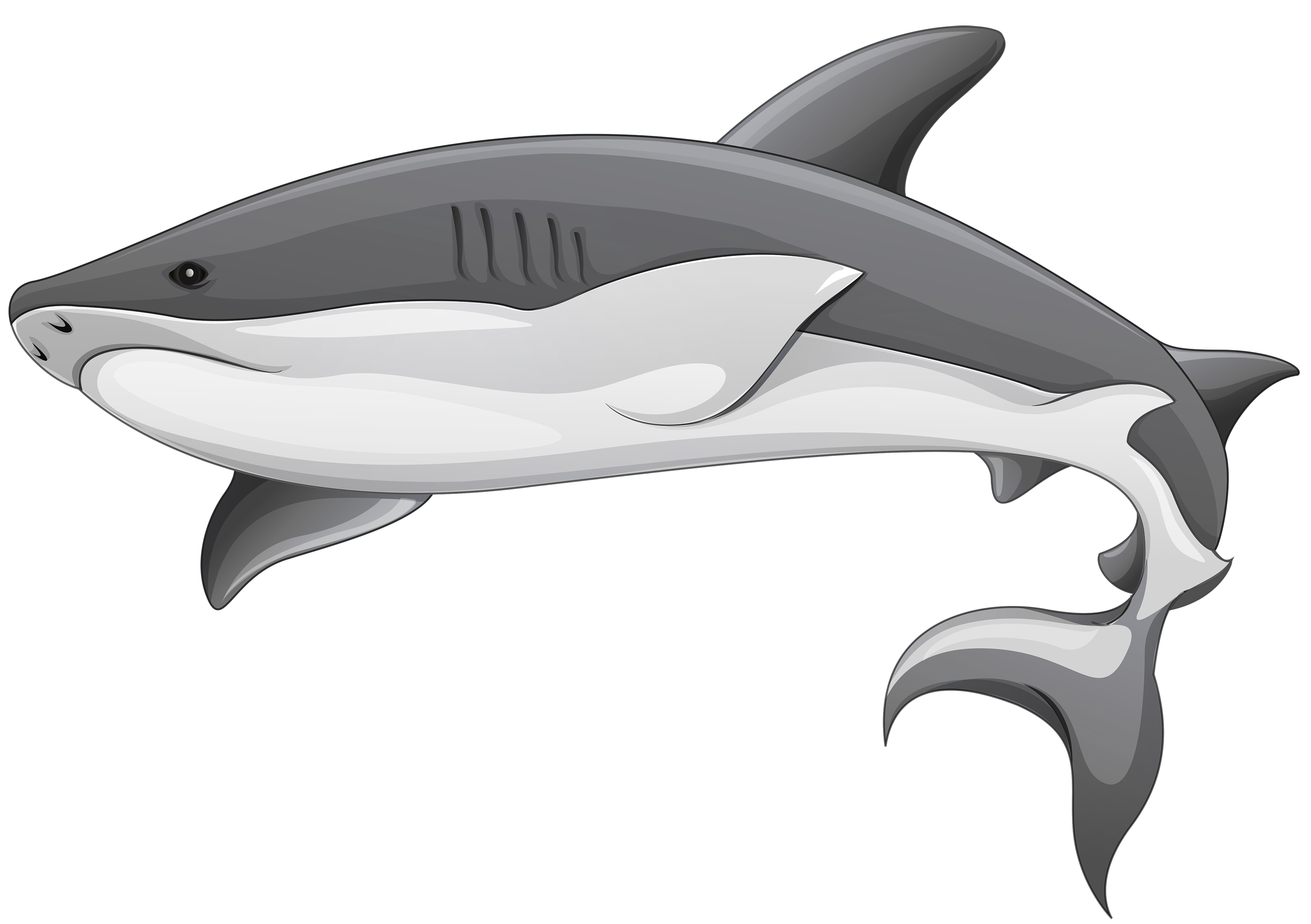 free clipart of shark