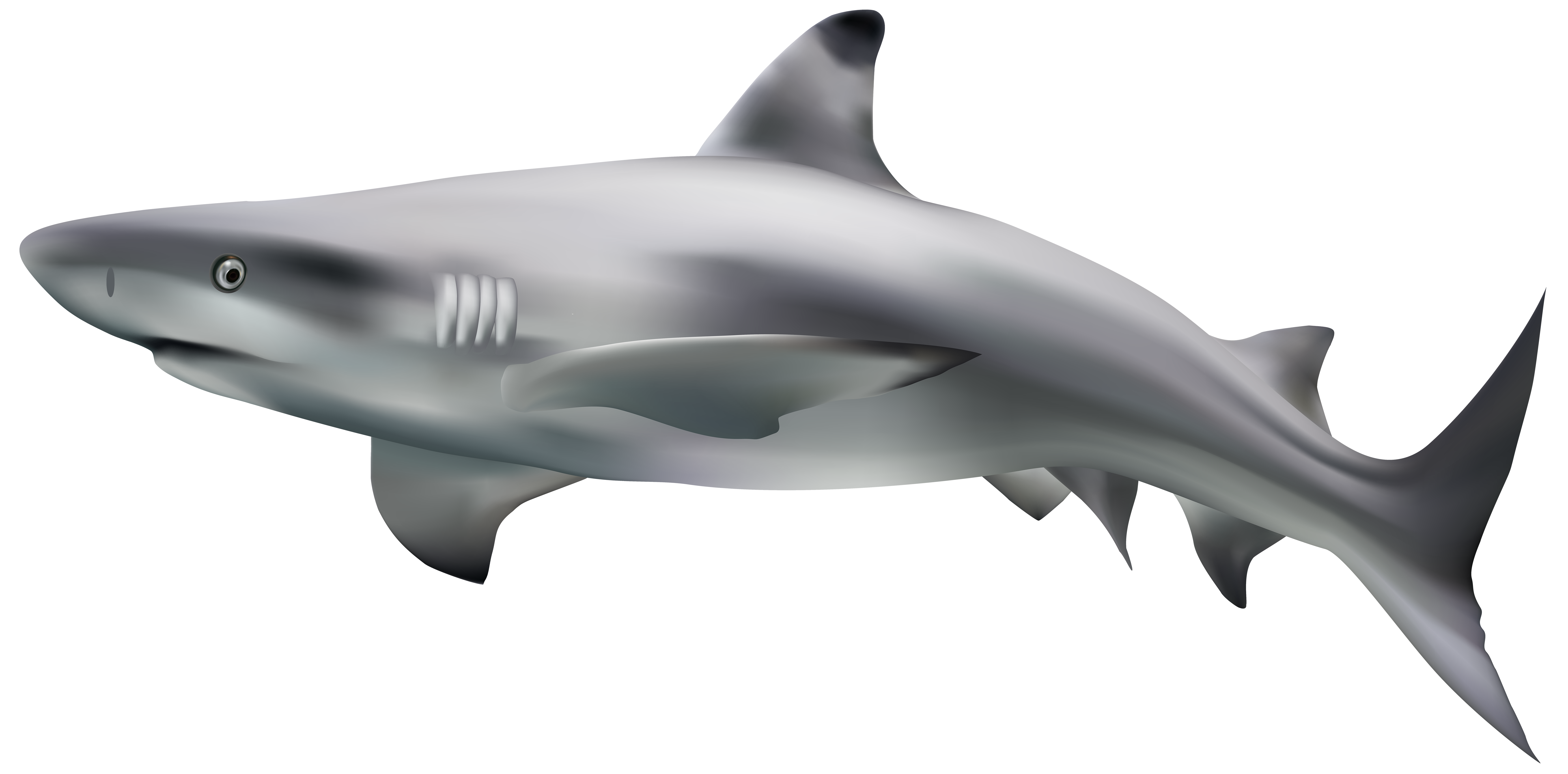 Shark Tank, HD Png Download , Transparent Png Image - PNGitem