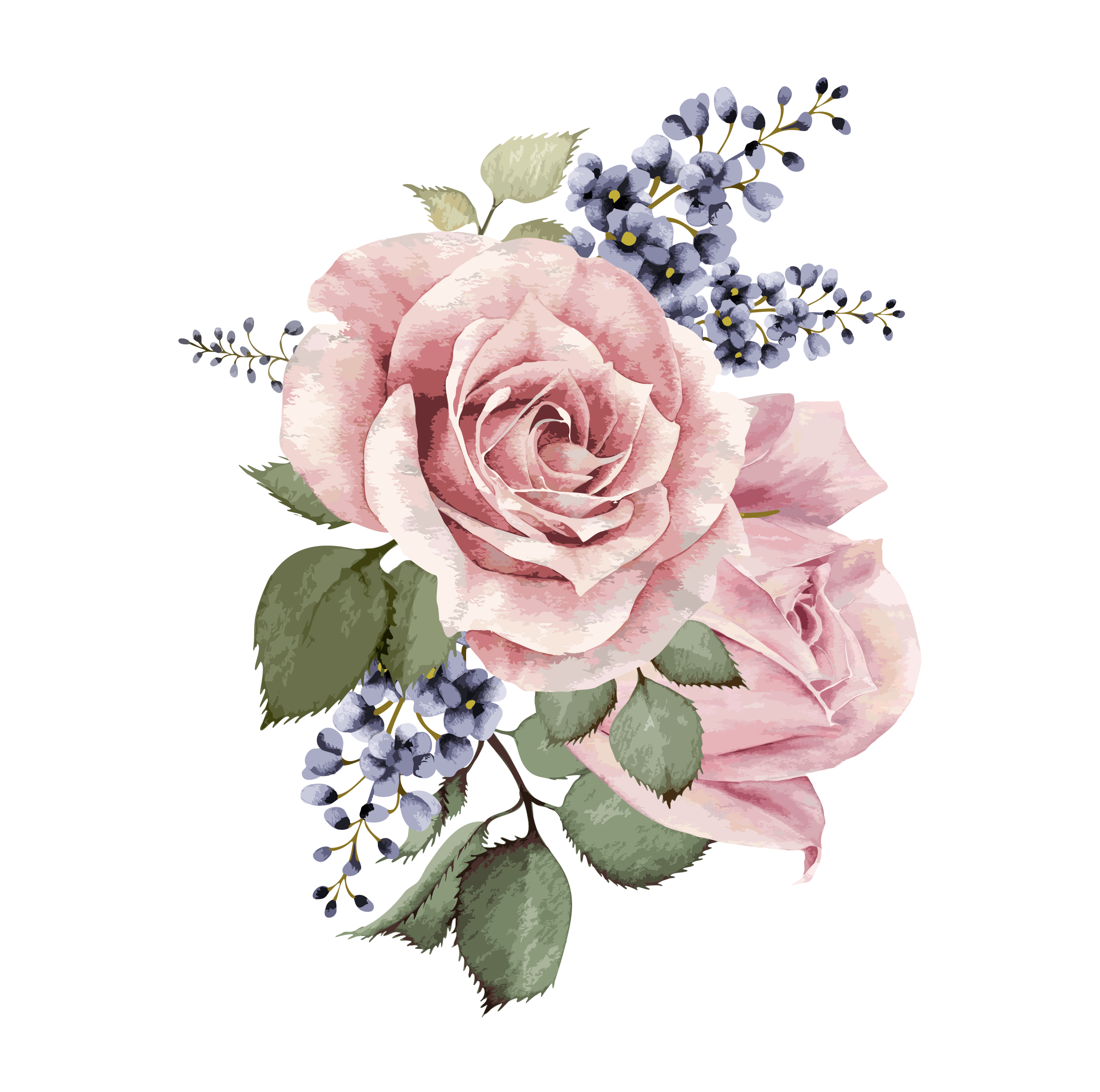 png flower images with transparent background