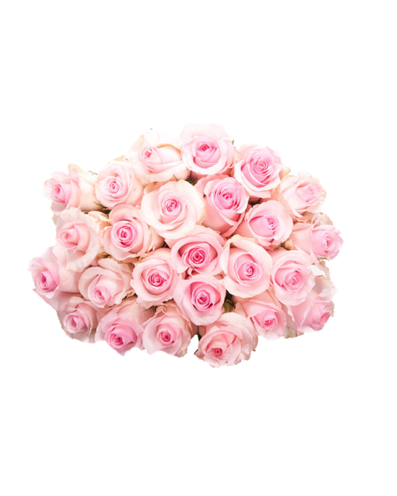 Download Pink Light Flower Bunch Rose HQ PNG Image | FreePNGImg