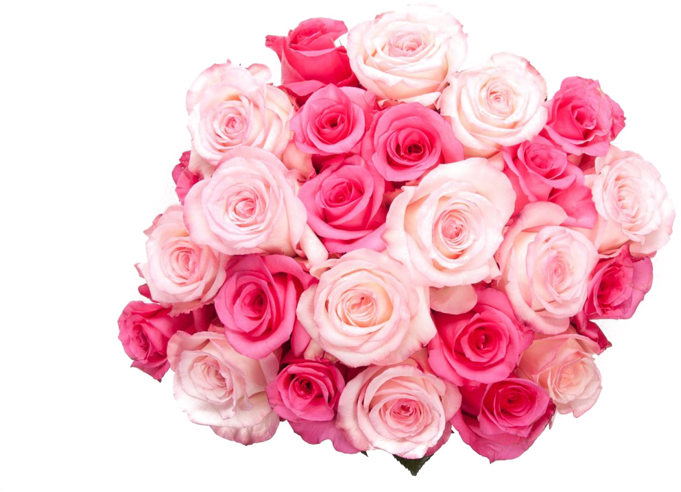 pink roses bouquet png