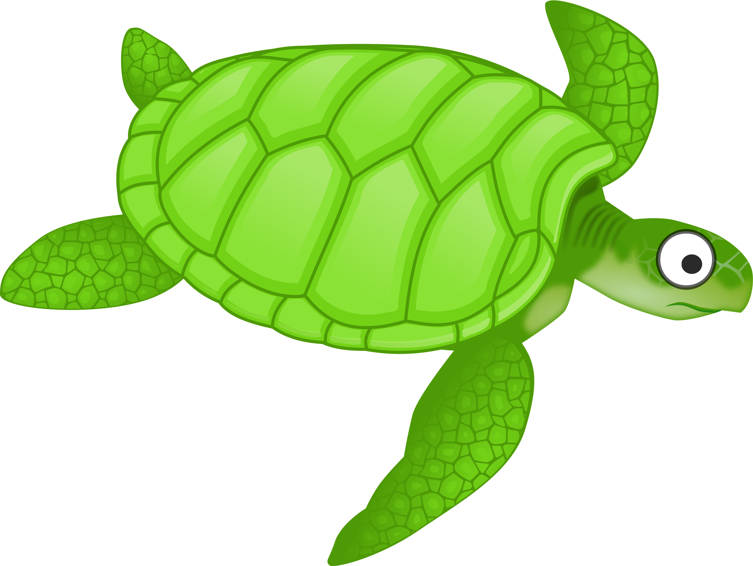 nemo turtle clipart free