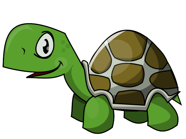 Download Turtle Green Free Clipart HQ HQ PNG Image | FreePNGImg