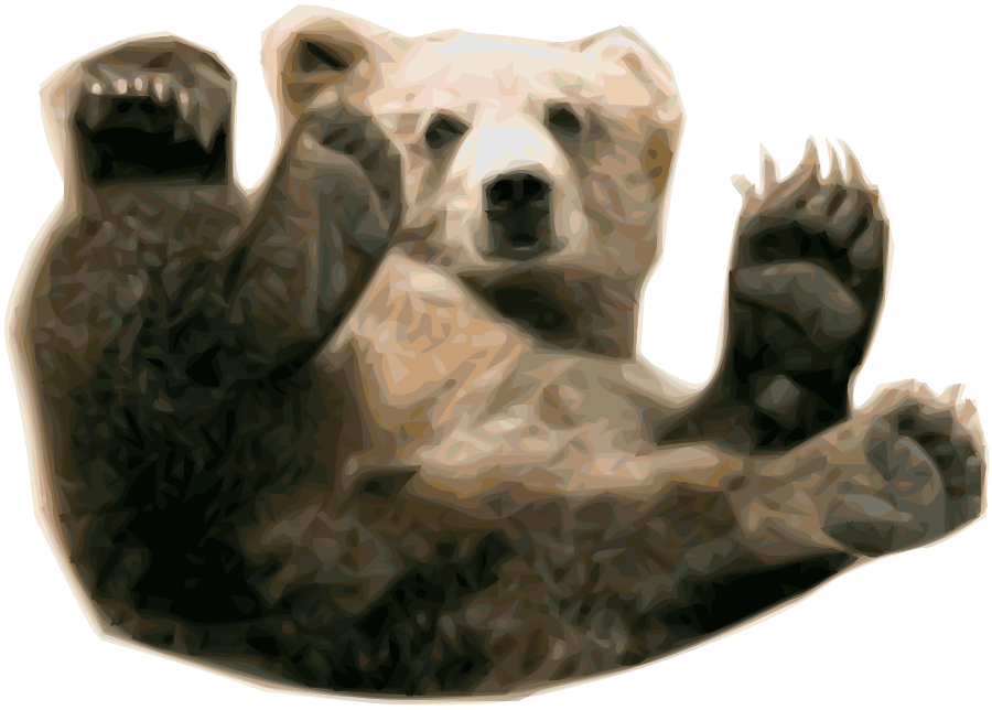 bear PNG transparent image download, size: 400x321px