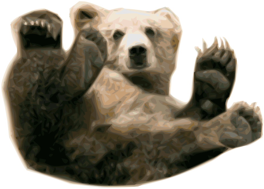 bear PNG transparent image download, size: 4000x3097px