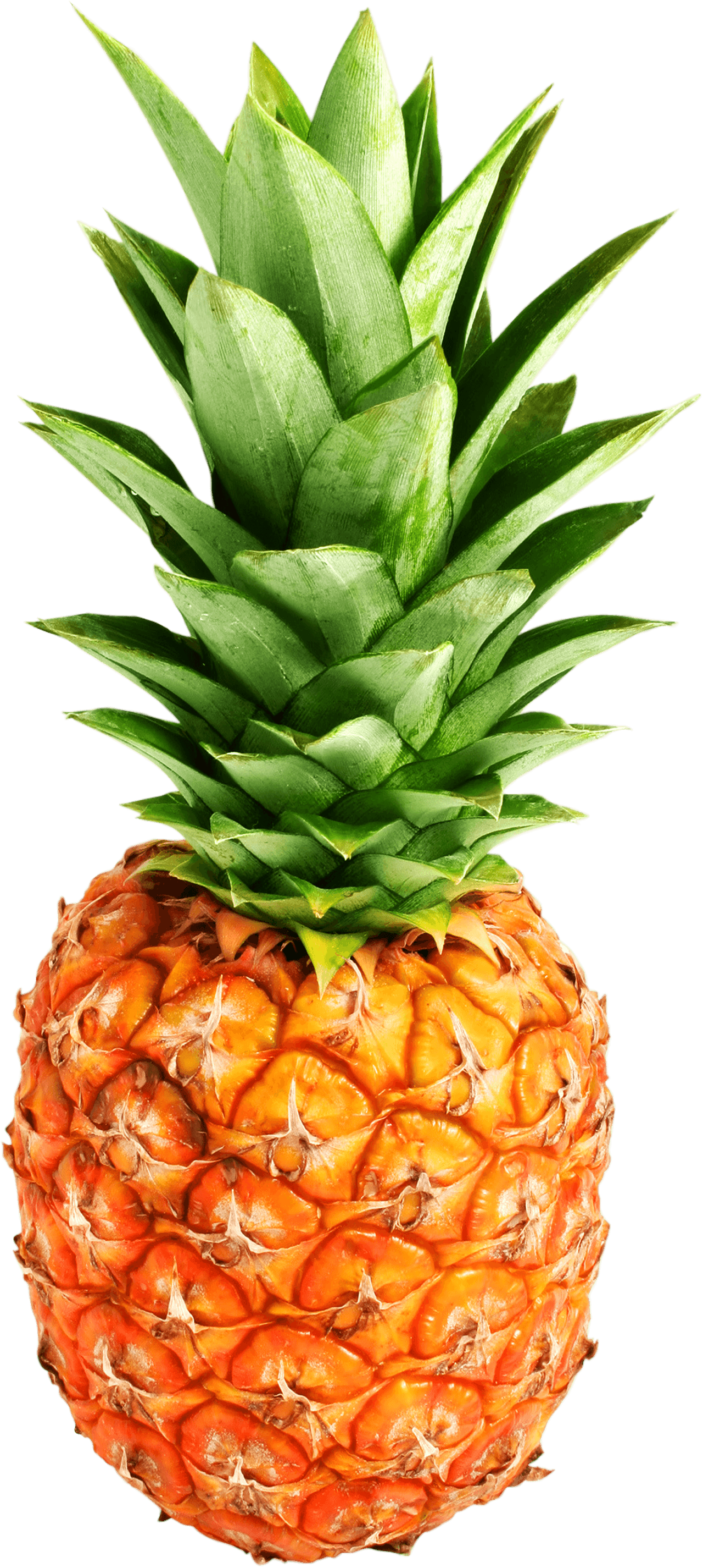 pineapple png