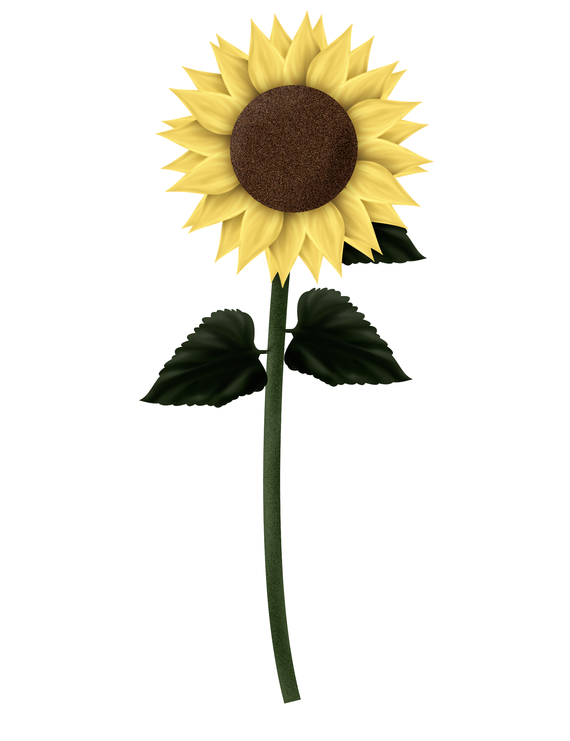 sunflower plants vs c4d free