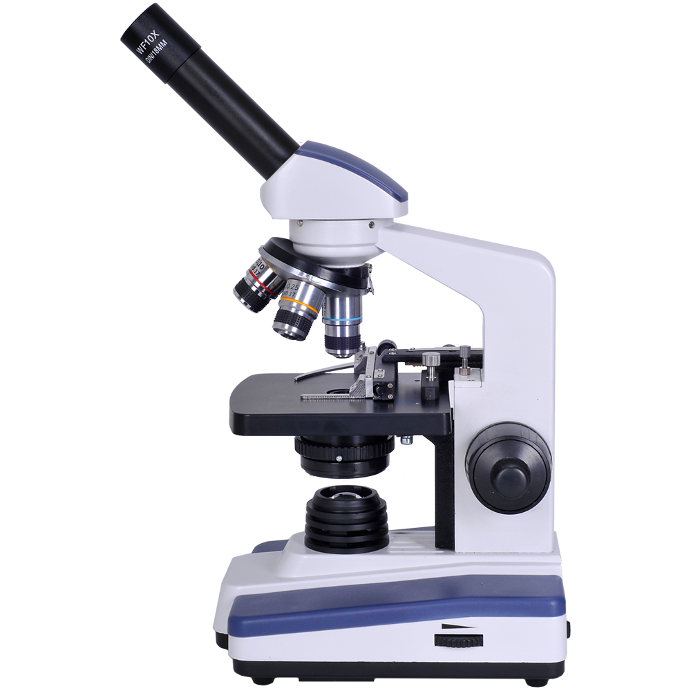 Modern Compound Light Microscope