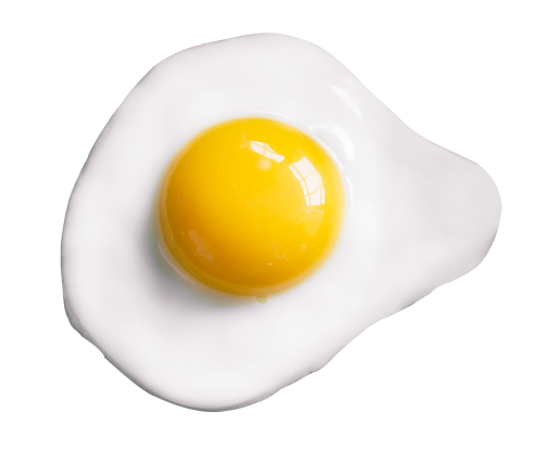 Fried egg PNG transparent image download, size: 500x504px