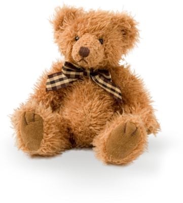 bear PNG transparent image download, size: 600x482px