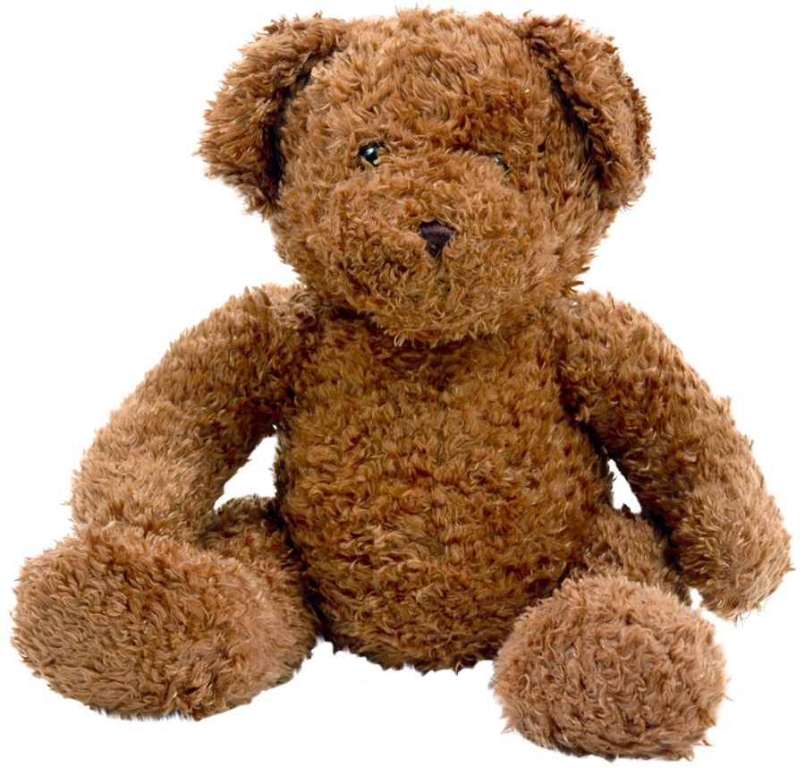 stuffed bear png