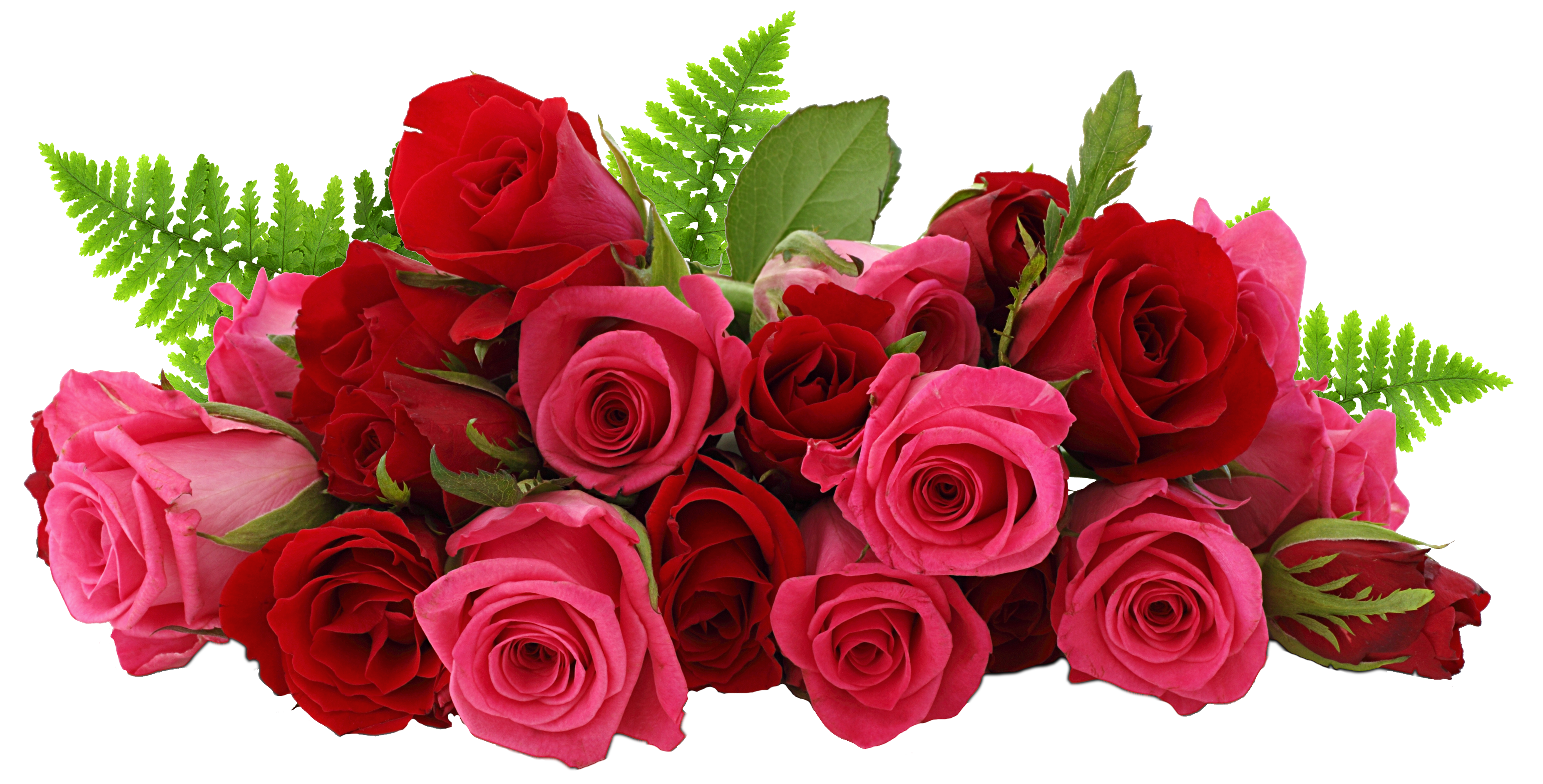 rose bunch png