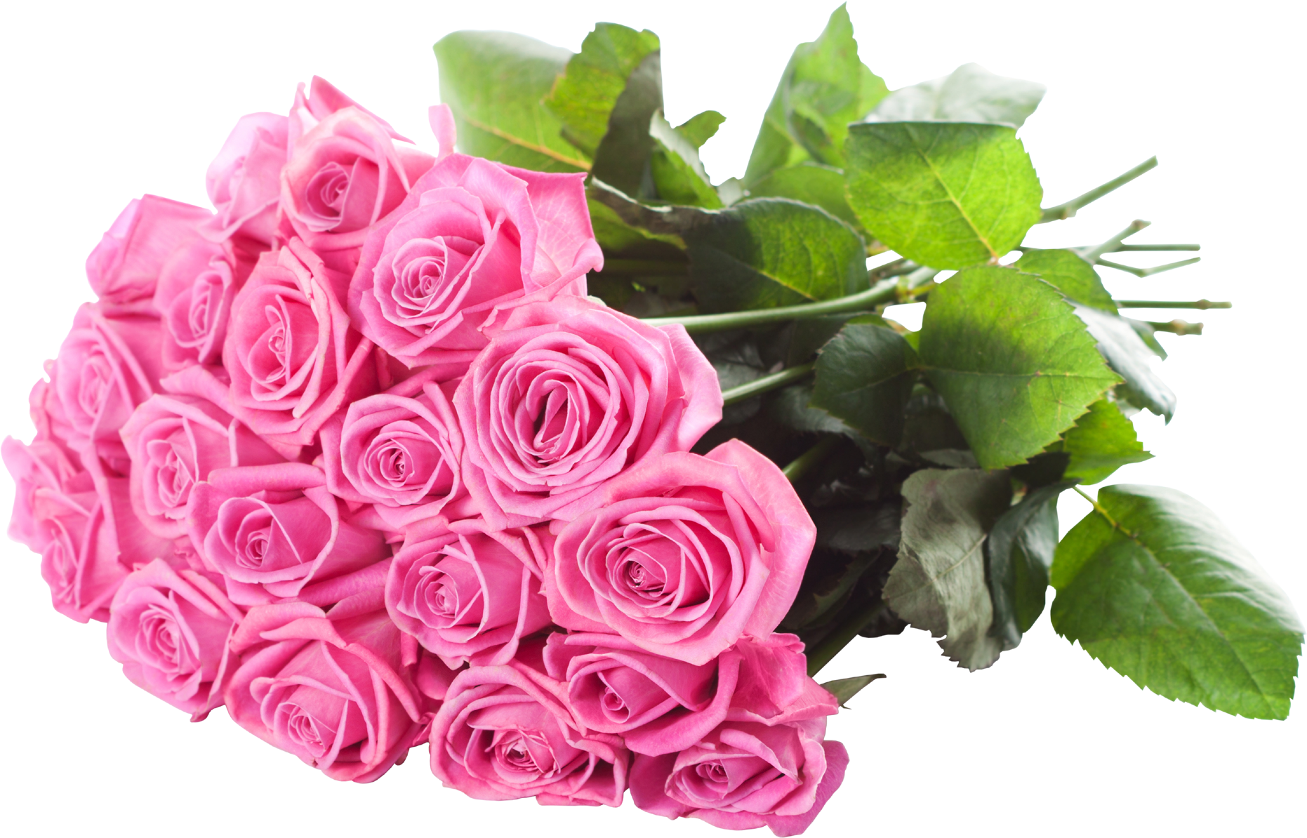 pink roses bouquet png