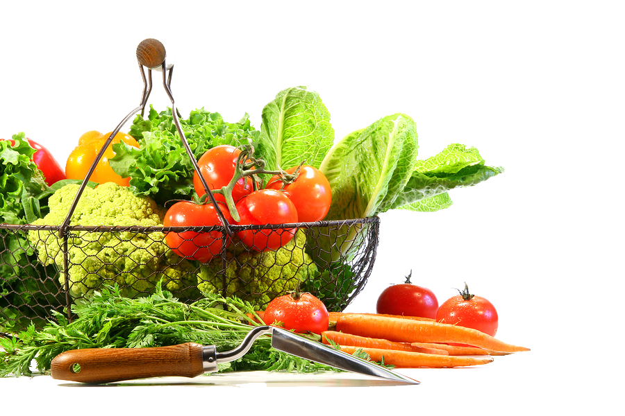 green vegetable png