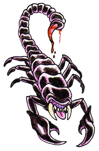 Download Scorpion Tattoos Png Clipart HQ PNG Image | FreePNGImg