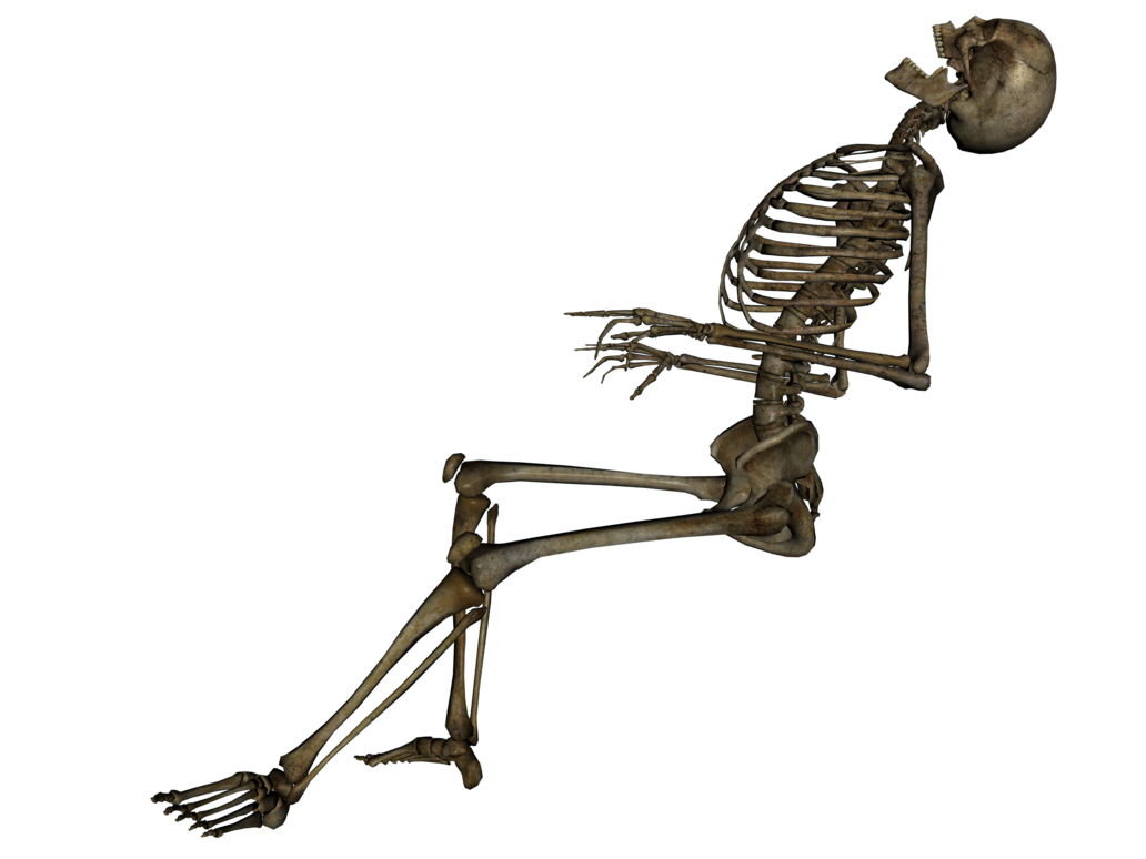 Skeleton PNG transparent image download, size: 1820x1665px