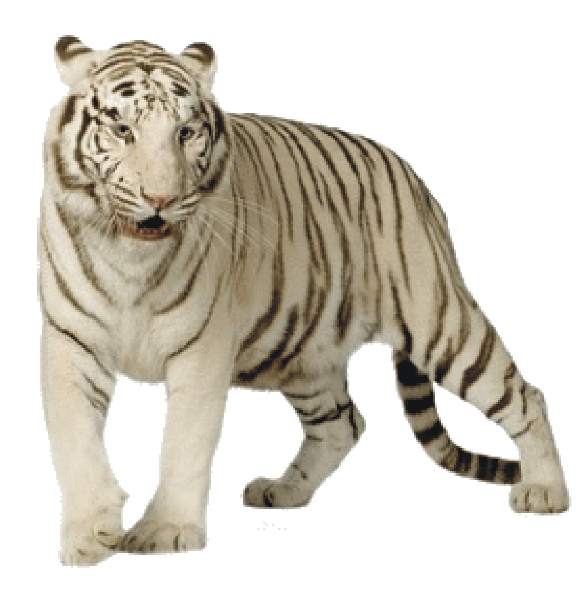 white tiger png