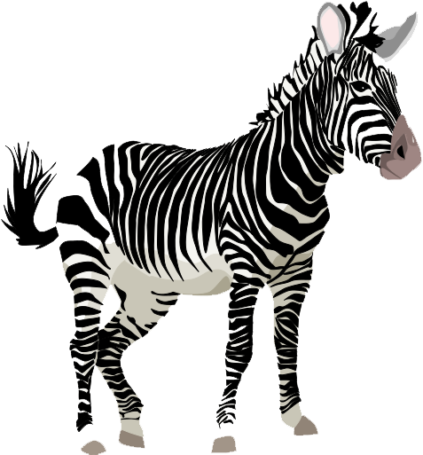 zebra clipart png