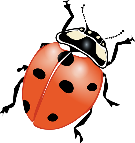 Download Ladybug HQ PNG Image