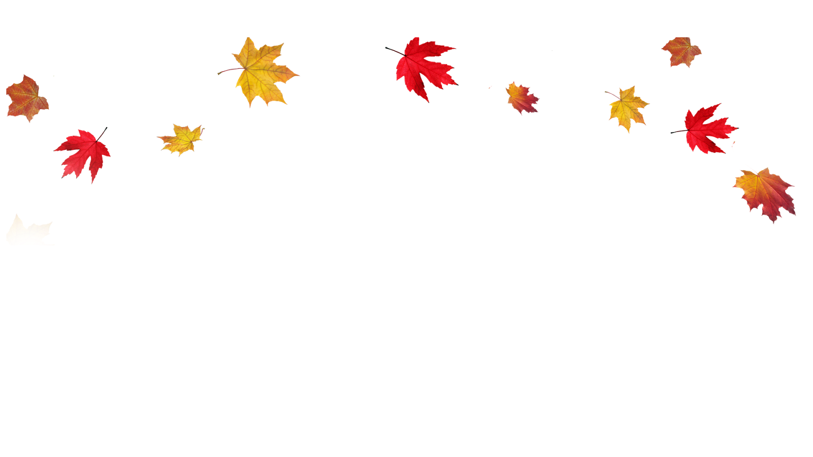 fall leaf border