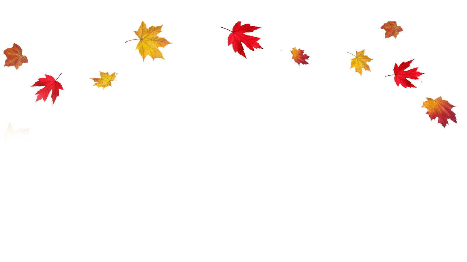 autumn leaves border clipart