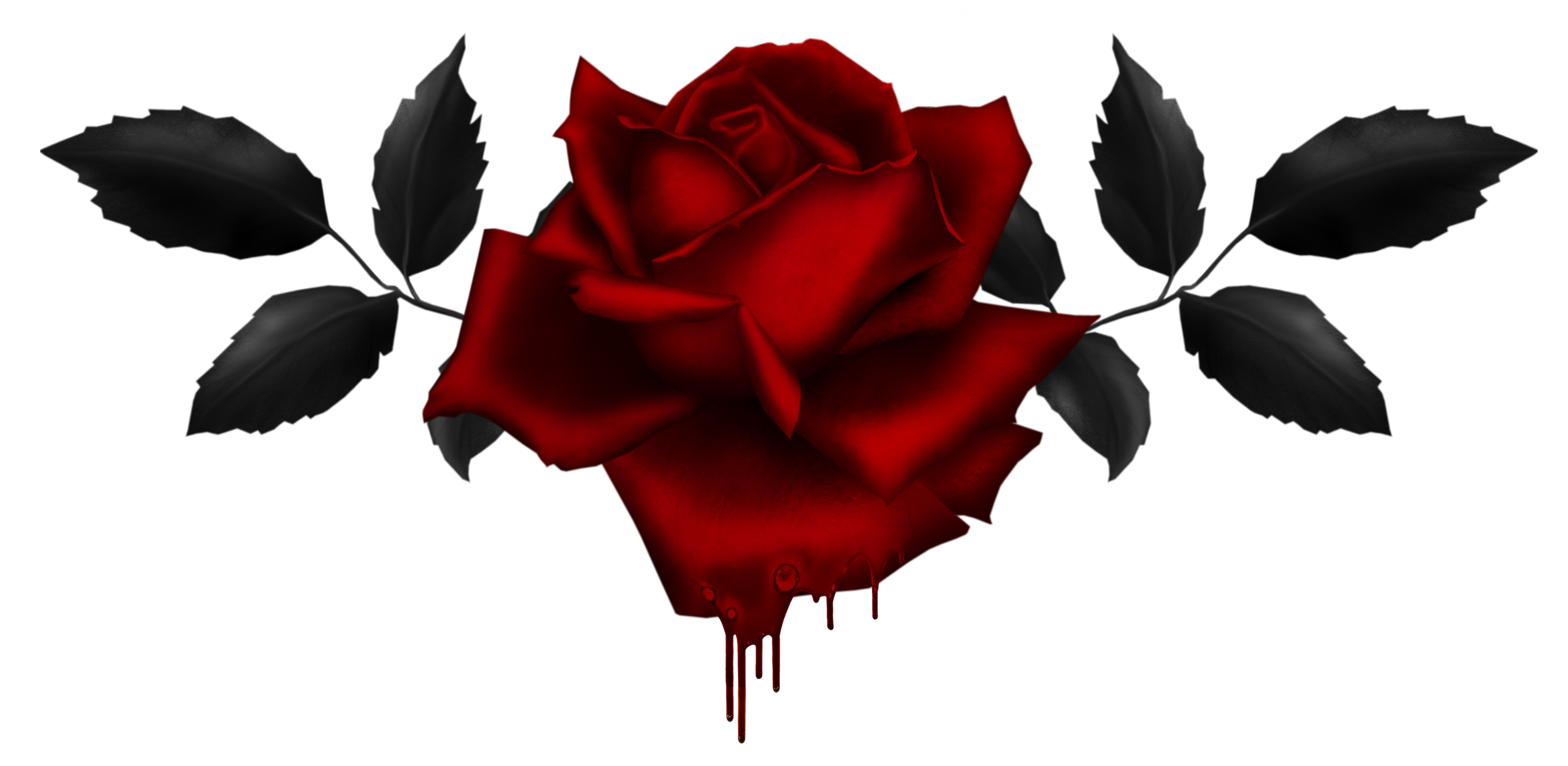 bleeding black rose wallpaper