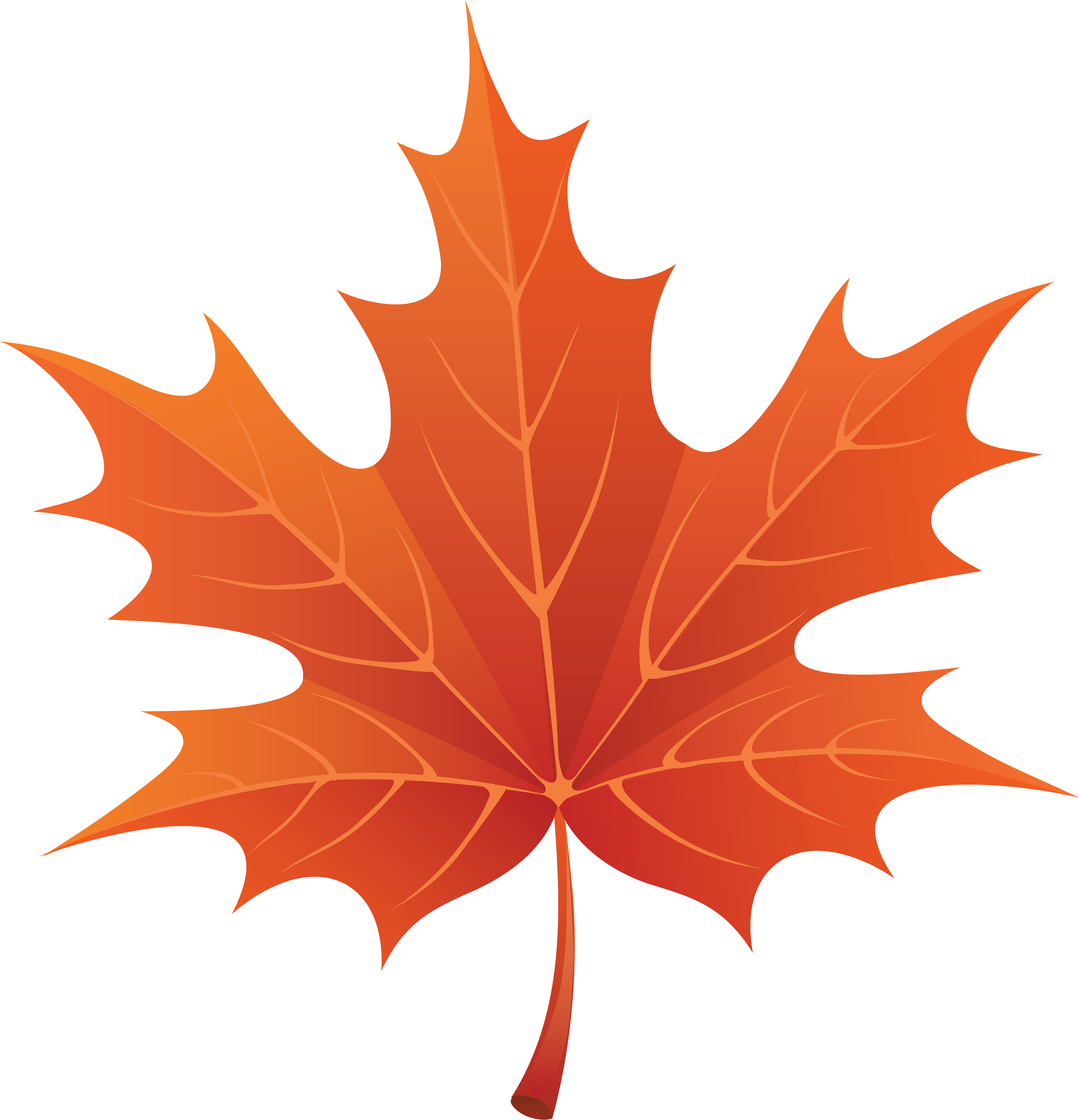 fall leaf clipart no background