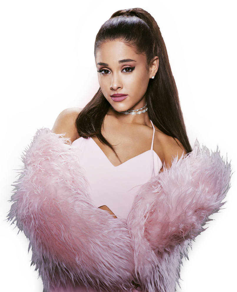 Sac transparent ariana clearance grande