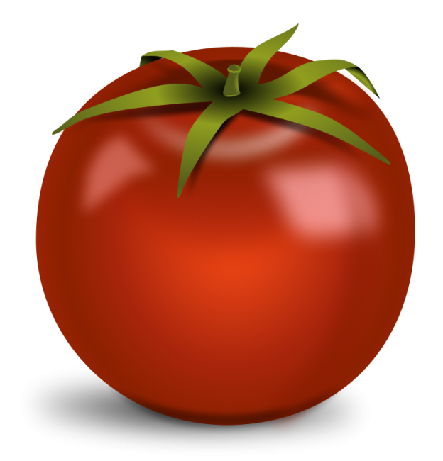 clipart tomato plant