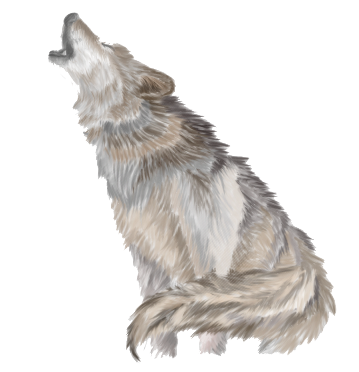 howling wolf png