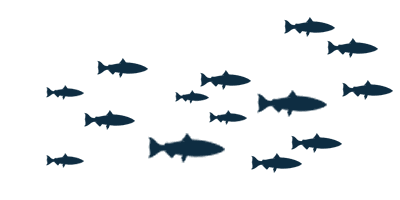 school of fish silhouette png